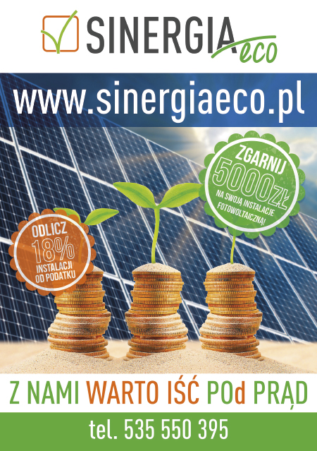 sinergia2